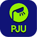 Smart PJU icon